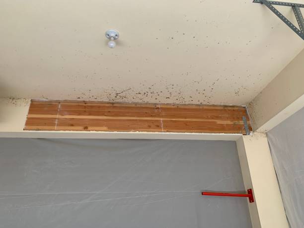 Best Residential Mold Inspection & Testing  in Griffin, GA